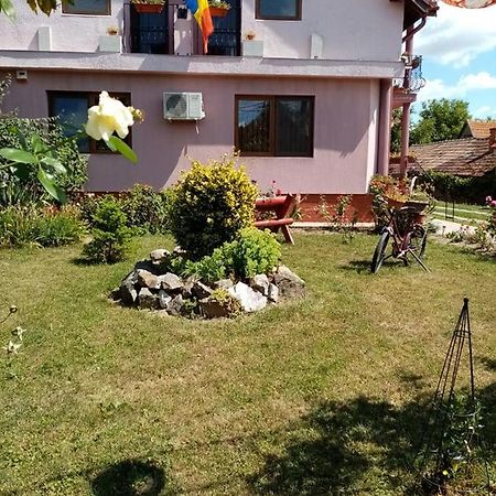 Pensiunea Oana Hotel Balc Ngoại thất bức ảnh