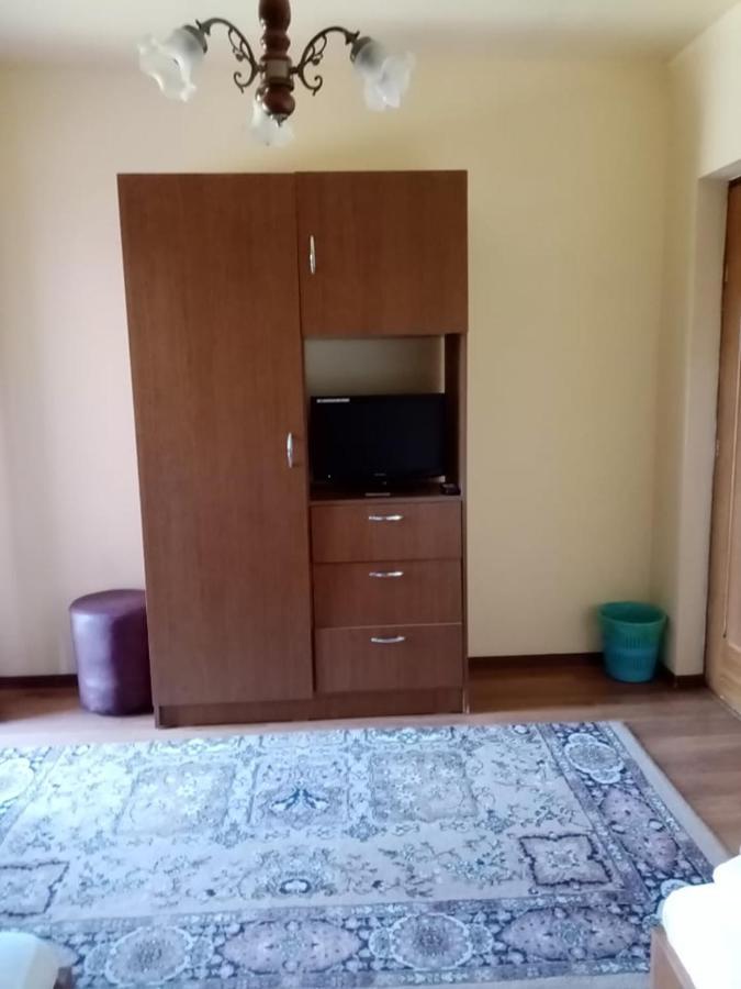 Pensiunea Oana Hotel Balc Ngoại thất bức ảnh