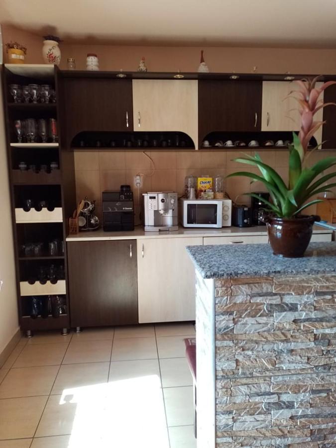 Pensiunea Oana Hotel Balc Ngoại thất bức ảnh
