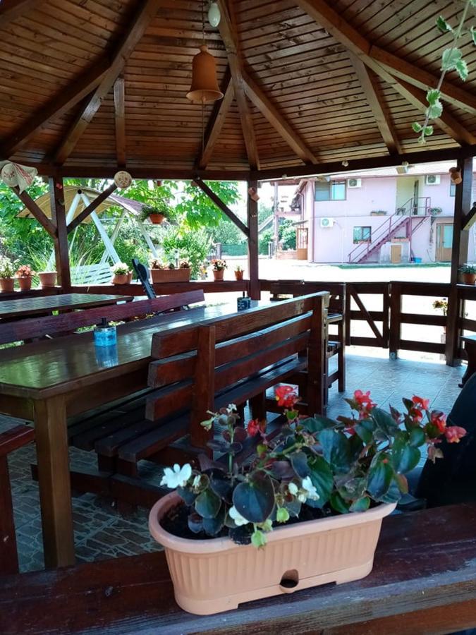 Pensiunea Oana Hotel Balc Ngoại thất bức ảnh